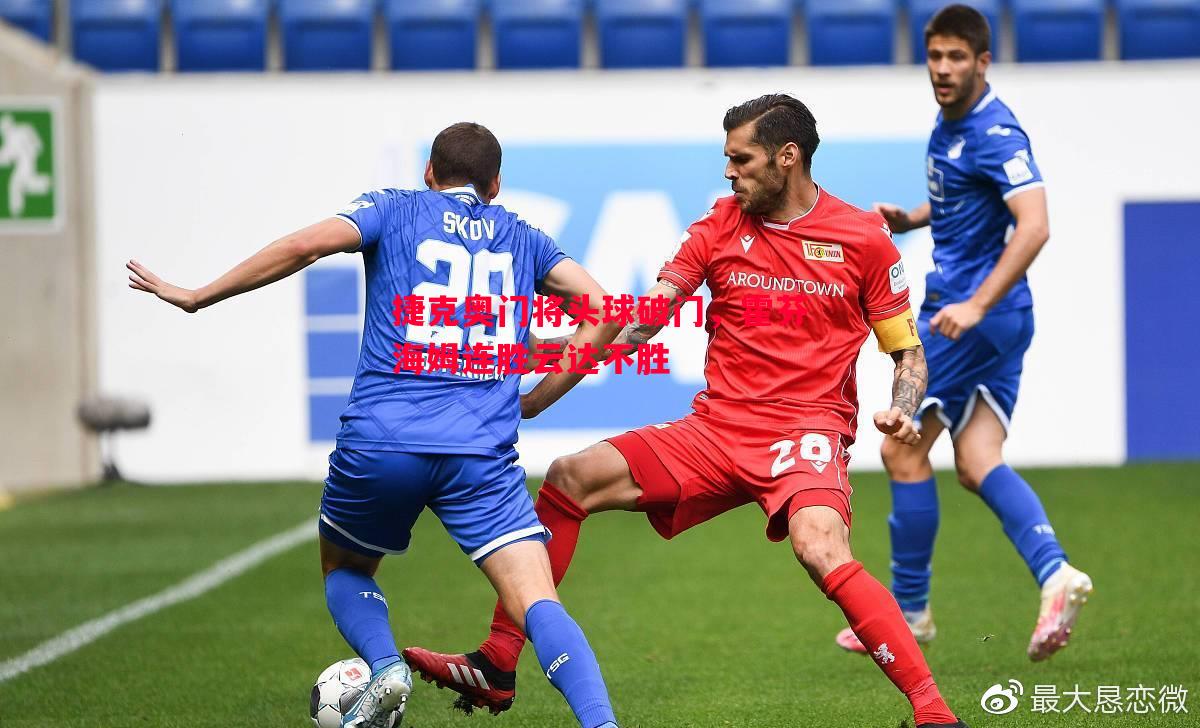 捷克奥门将头球破门,霍芬海姆连胜云达不胜 捷克奥门将头球破门,霍芬海姆连胜云达不胜