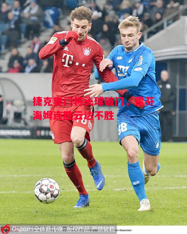 捷克奥门将头球破门,霍芬海姆连胜云达不胜 捷克奥门将头球破门,霍芬海姆连胜云达不胜